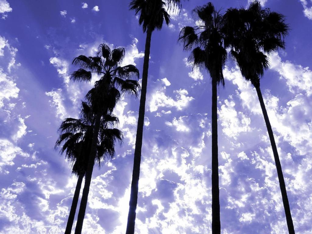 Hotel Parker Palm Springs Exterior foto
